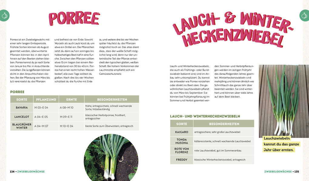 Weitere Ansicht: Ernte mehr als du denkst | Niko Becker