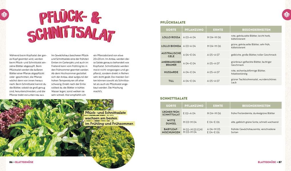 Weitere Ansicht: Ernte mehr als du denkst | Niko Becker