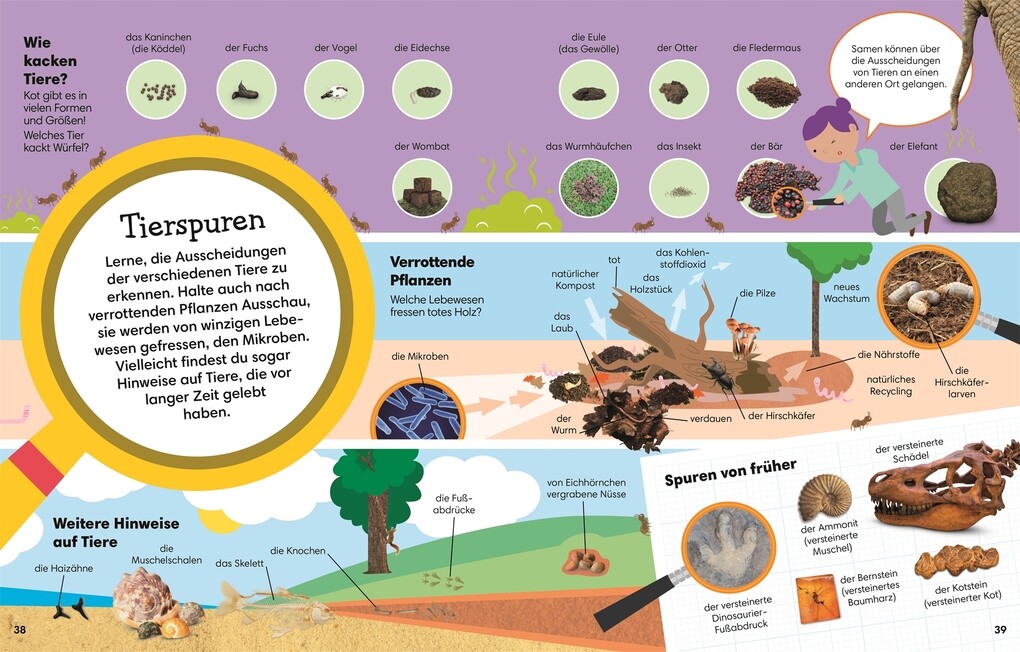 Weitere Ansicht: 1000 erste Wörter. Natur