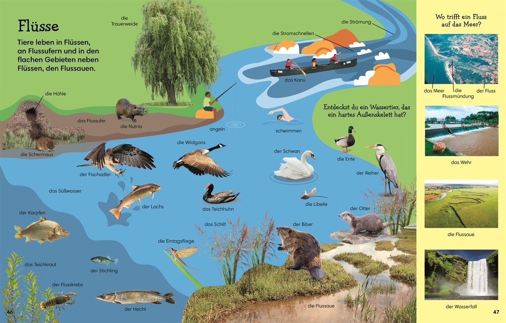 Weitere Ansicht: 1000 erste Wörter. Natur