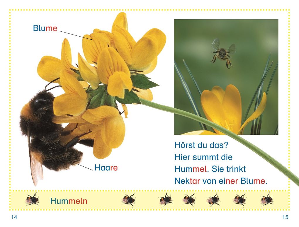 Weitere Ansicht: SUPERLESER! Wer versteckt sich im Garten?