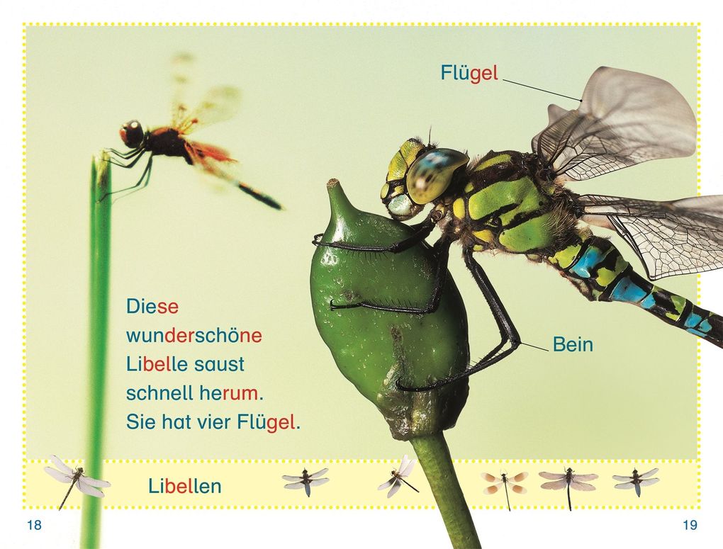 Weitere Ansicht: SUPERLESER! Wer versteckt sich im Garten?