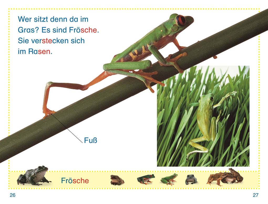 Weitere Ansicht: SUPERLESER! Wer versteckt sich im Garten?