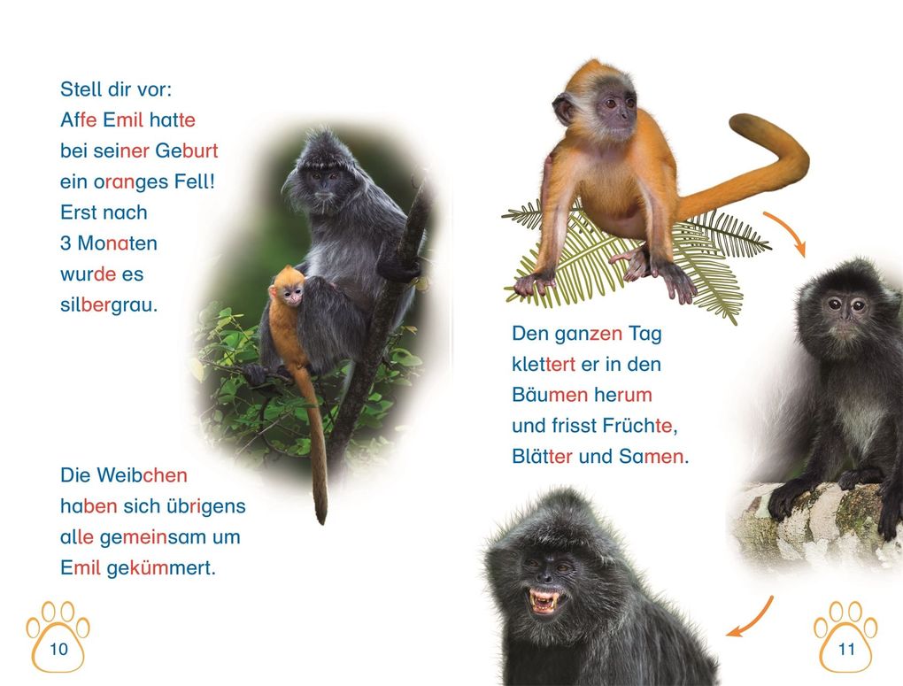 Weitere Ansicht: SUPERLESER! Nachwuchs bei uns im Zoo | Deborah Lock