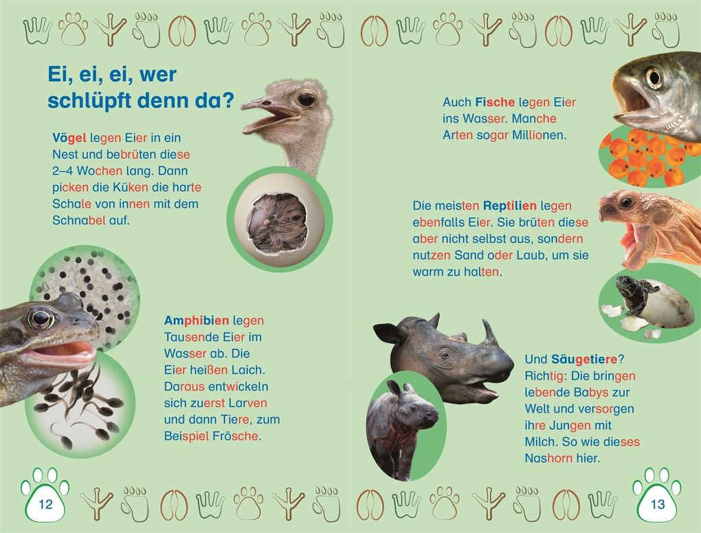 Weitere Ansicht: SUPERLESER! Nachwuchs bei uns im Zoo | Deborah Lock