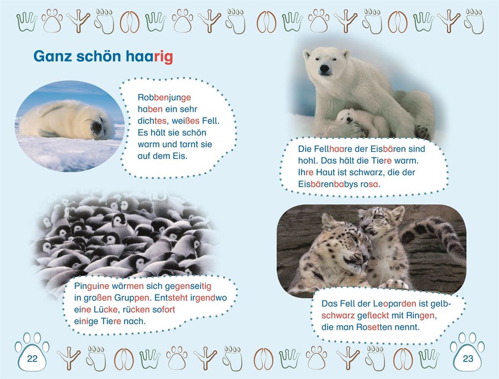 Weitere Ansicht: SUPERLESER! Nachwuchs bei uns im Zoo | Deborah Lock