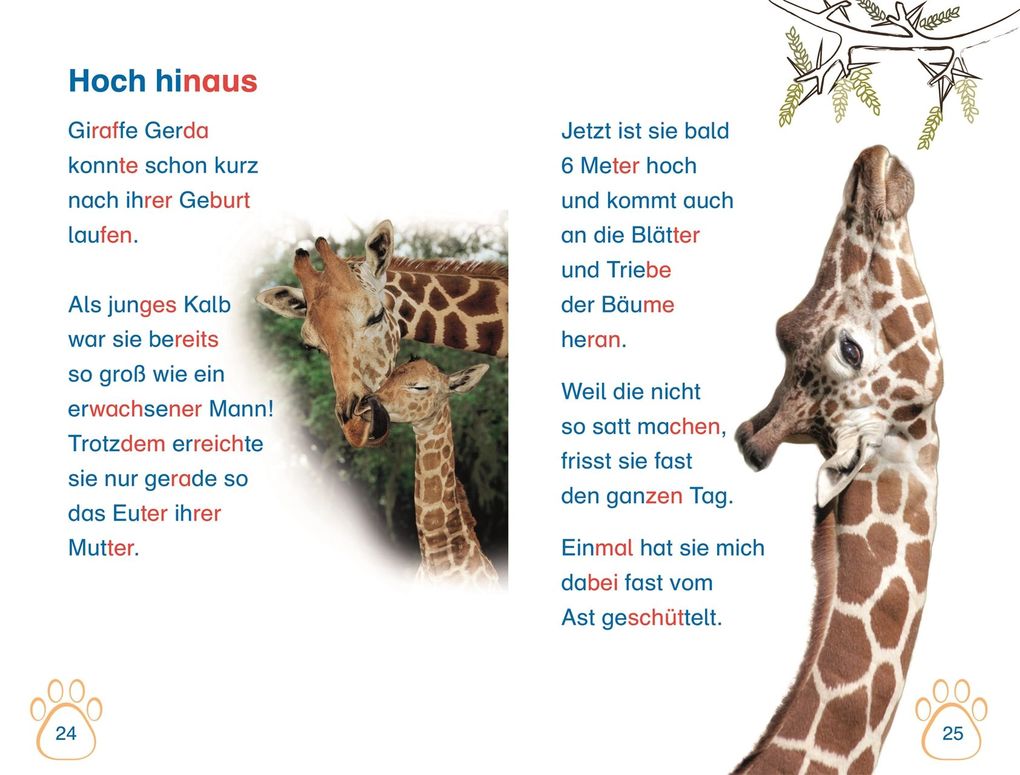 Weitere Ansicht: SUPERLESER! Nachwuchs bei uns im Zoo | Deborah Lock