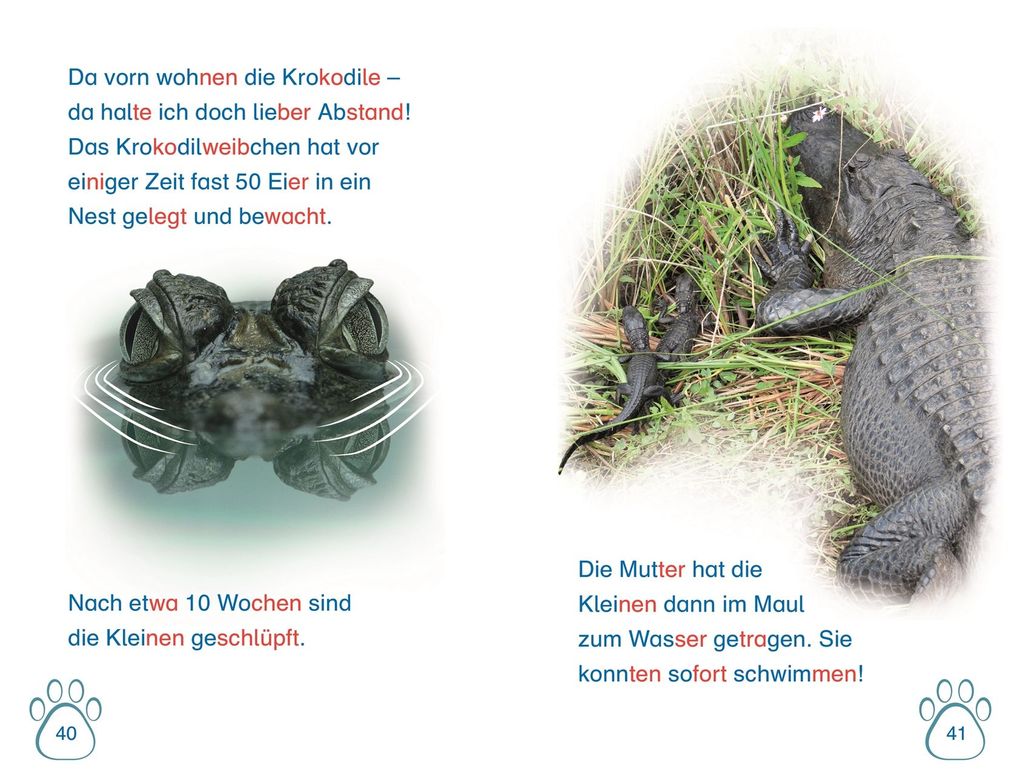 Weitere Ansicht: SUPERLESER! Nachwuchs bei uns im Zoo | Deborah Lock