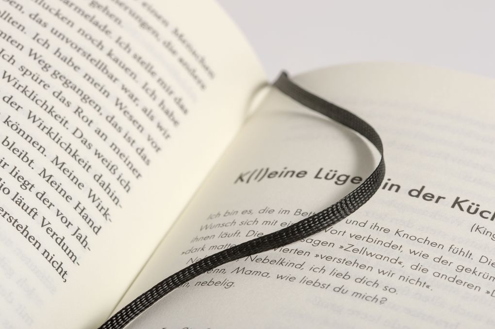 Weitere Ansicht: Die Verwandelten | Ulrike Draesner