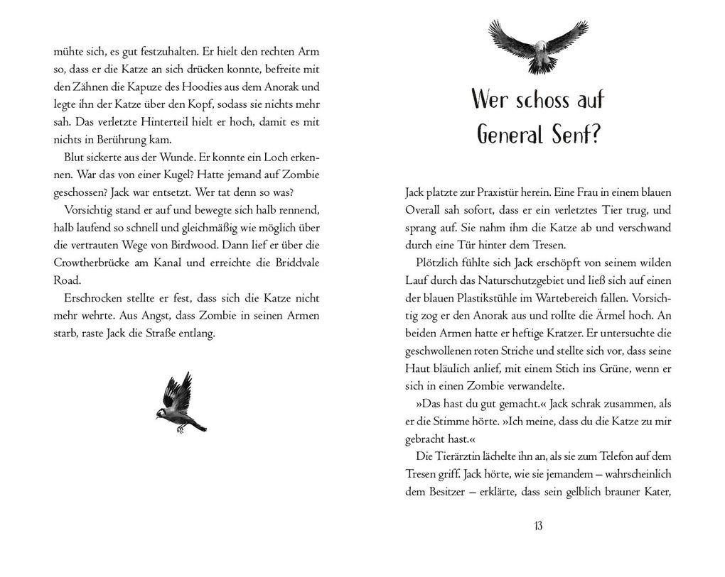 Weitere Ansicht: Die Geheimnisse von Birdwood - Die Rettung | M. G. Leonard