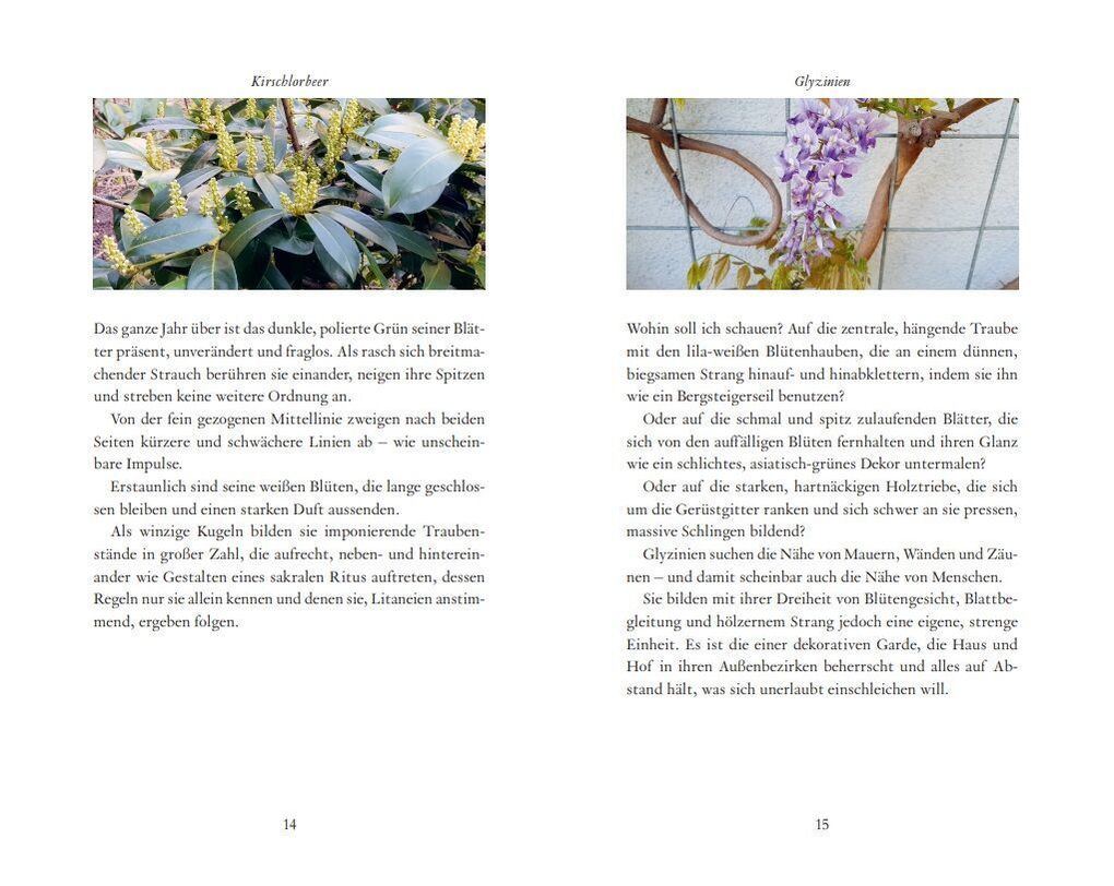 Weitere Ansicht: Kunstmomente | Hanns-Josef Ortheil