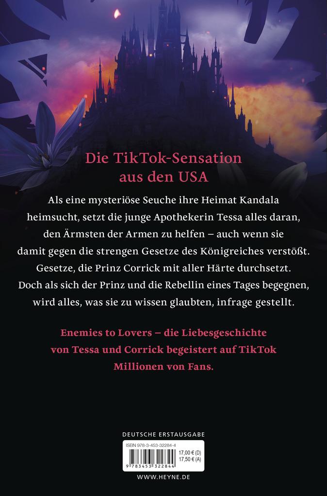 Weitere Ansicht: Trotze der Nacht | Brigid Kemmerer