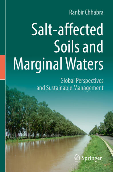 Produktbild: Salt-affected Soils and Marginal Waters | Ranbir Chhabra