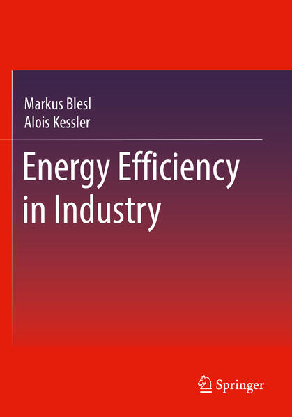 Produktbild: Energy Efficiency in Industry | Markus Blesl, Alois Kessler