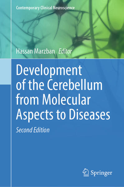 Produktbild: Development of the Cerebellum from Molecular Aspects to Diseases