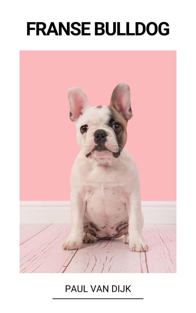Produktbild: Franse Bulldog | Paul van Dijk