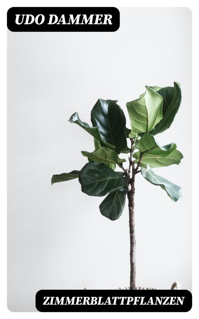 Produktbild: Zimmerblattpflanzen | Udo Dammer