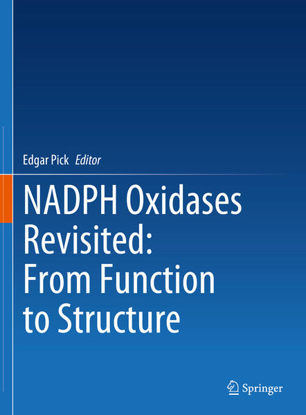 Produktbild: NADPH Oxidases Revisited: From Function to Structure