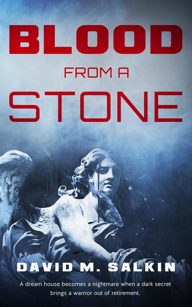 Produktbild: Blood from a Stone | David M. Salkin