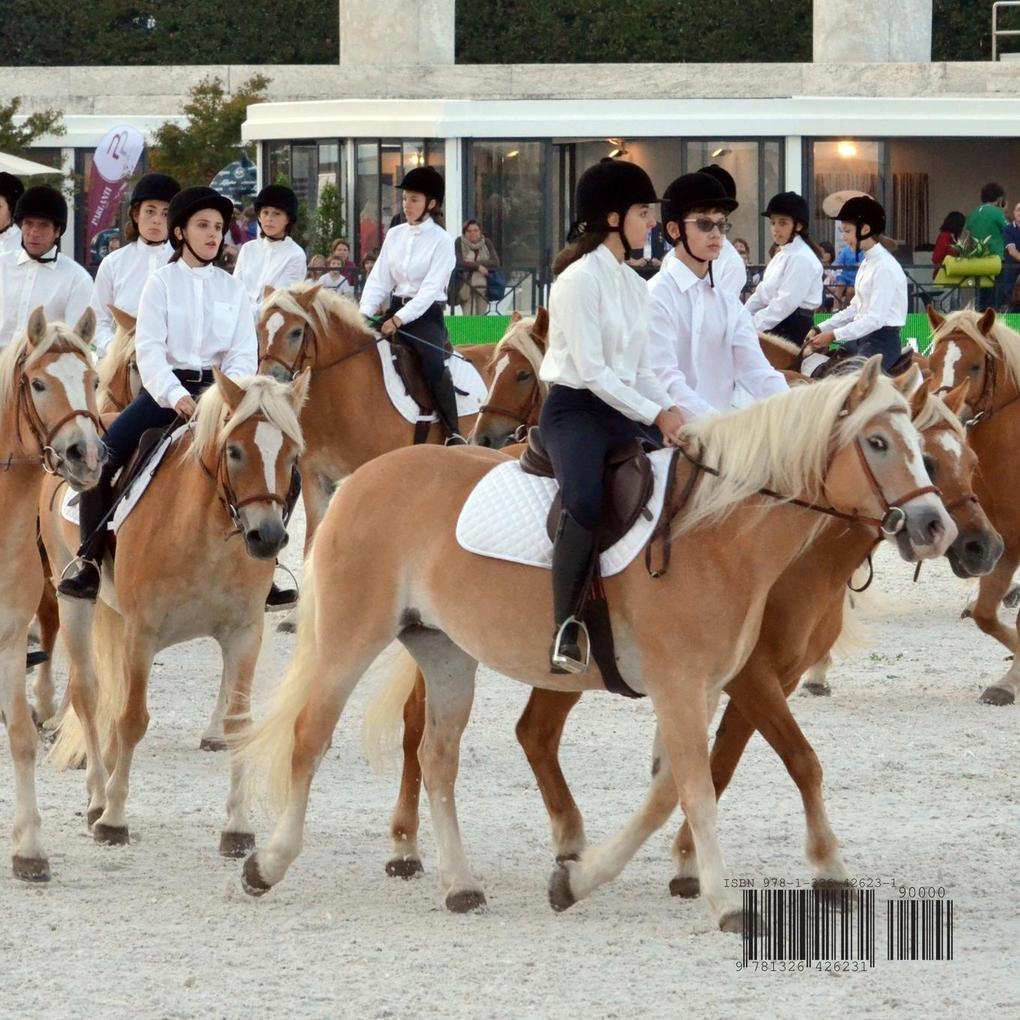 Weitere Ansicht: LGCT 2015 | Annalisa Parisi