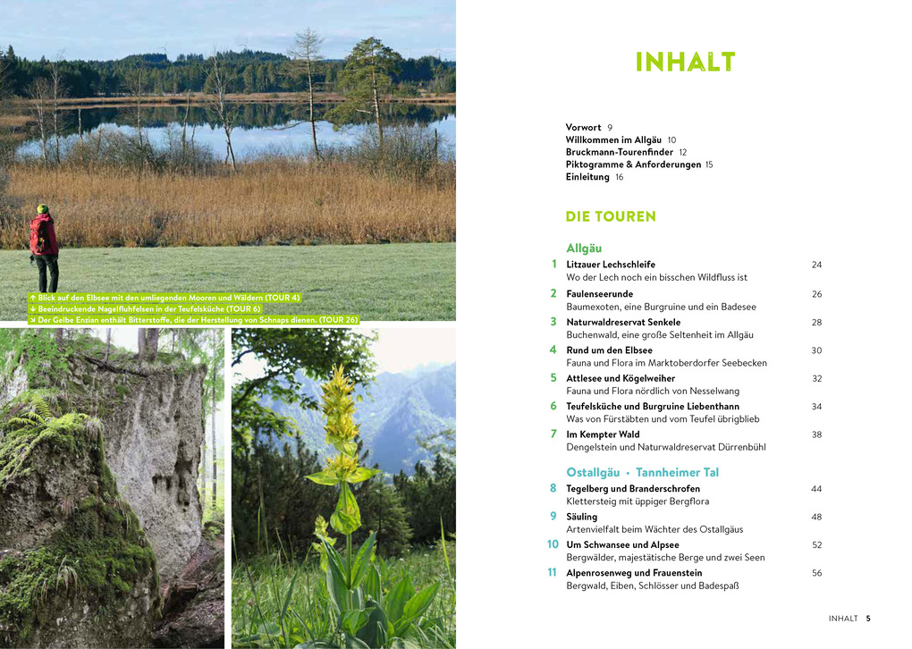 Weitere Ansicht: Waldpfade Allgäu | Rudolf Nützel