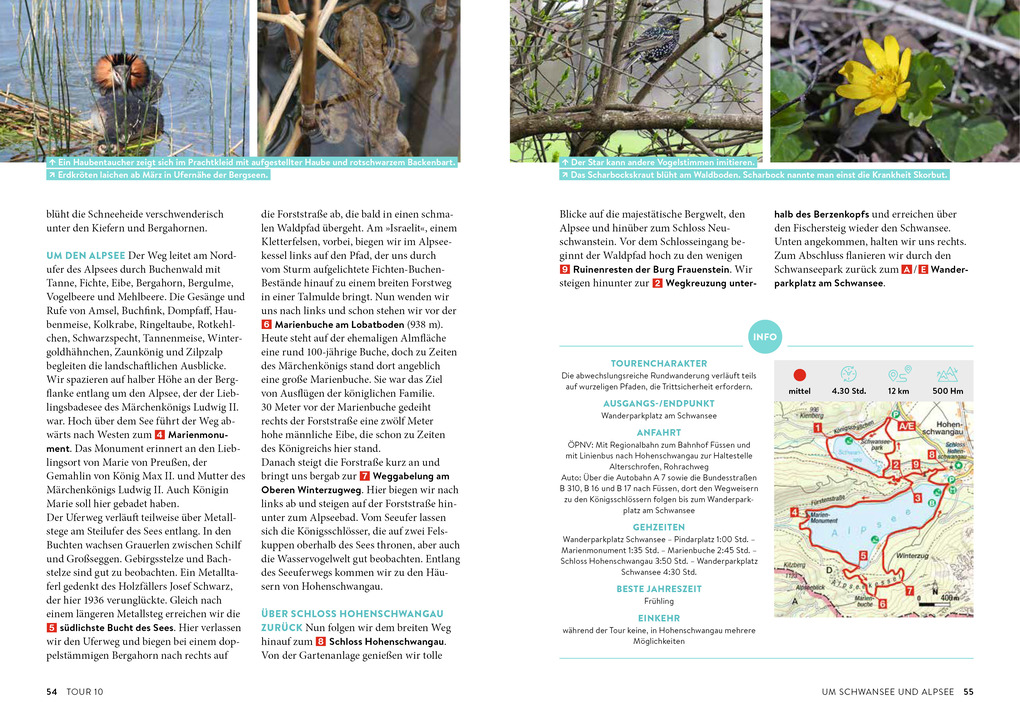 Weitere Ansicht: Waldpfade Allgäu | Rudolf Nützel