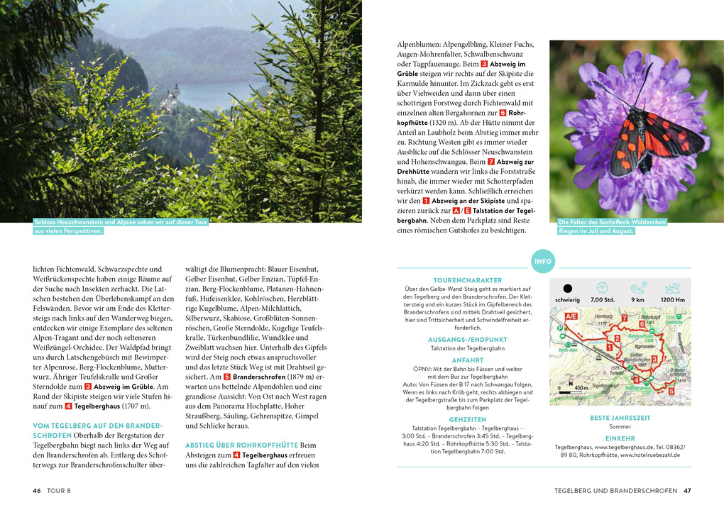 Weitere Ansicht: Waldpfade Allgäu | Rudolf Nützel