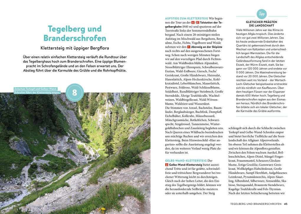 Weitere Ansicht: Waldpfade Allgäu | Rudolf Nützel