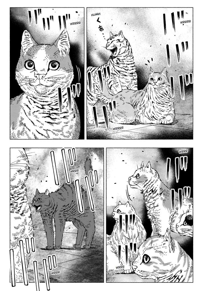 Weitere Ansicht: Night of the Living Cat 02 - Katzen sind unbarmherzige Herrscher | Hawkman, Mecha-Roots