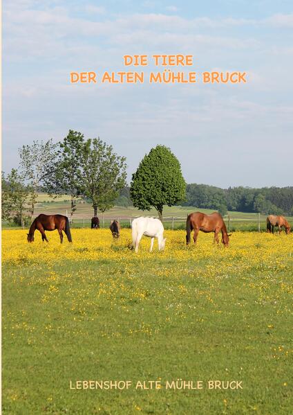 Produktbild: Wie kommt das Pony auf den Gnadenbrothof? | Regina Peter, Jana Baller, Alex Meyer