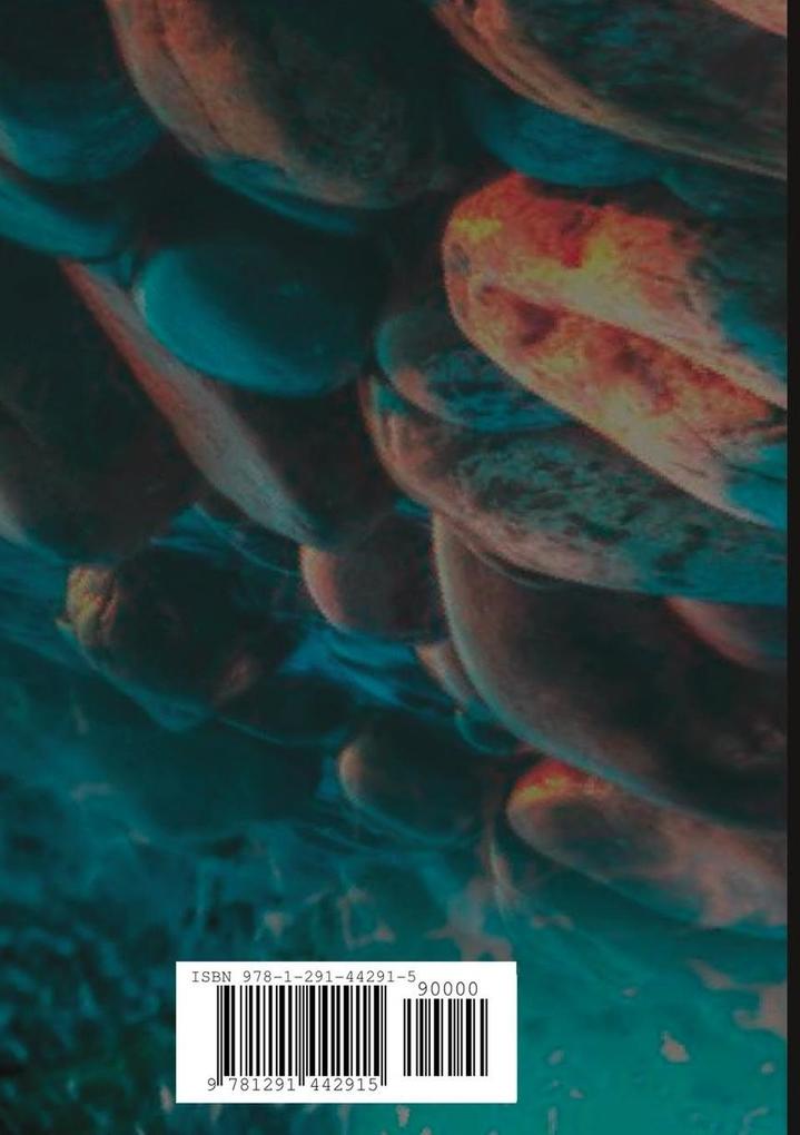 Weitere Ansicht: A Liquid World | Airam Rao