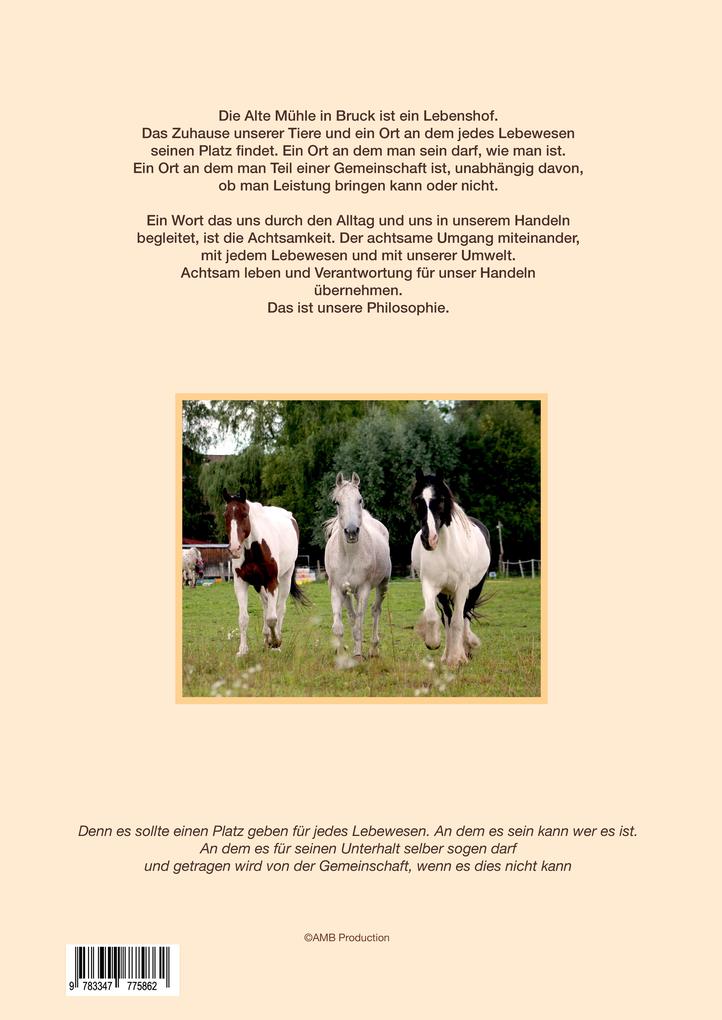 Weitere Ansicht: Wie kommt das Pony auf den Gnadenbrothof? | Regina Peter, Jana Baller, Alex Meyer