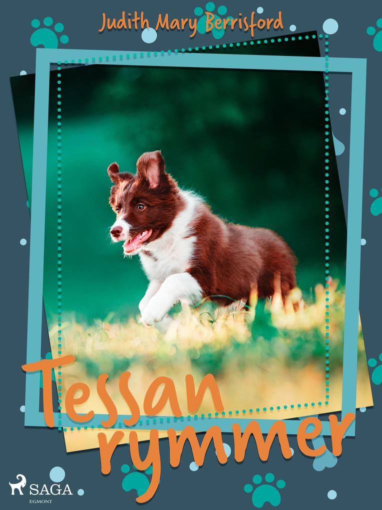 Produktbild: Tessan rymmer | Judith M. Berrisford