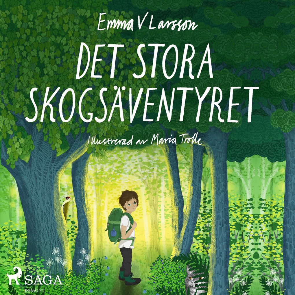 Produktbild: Det stora skogsäventyret | Emma V Larsson