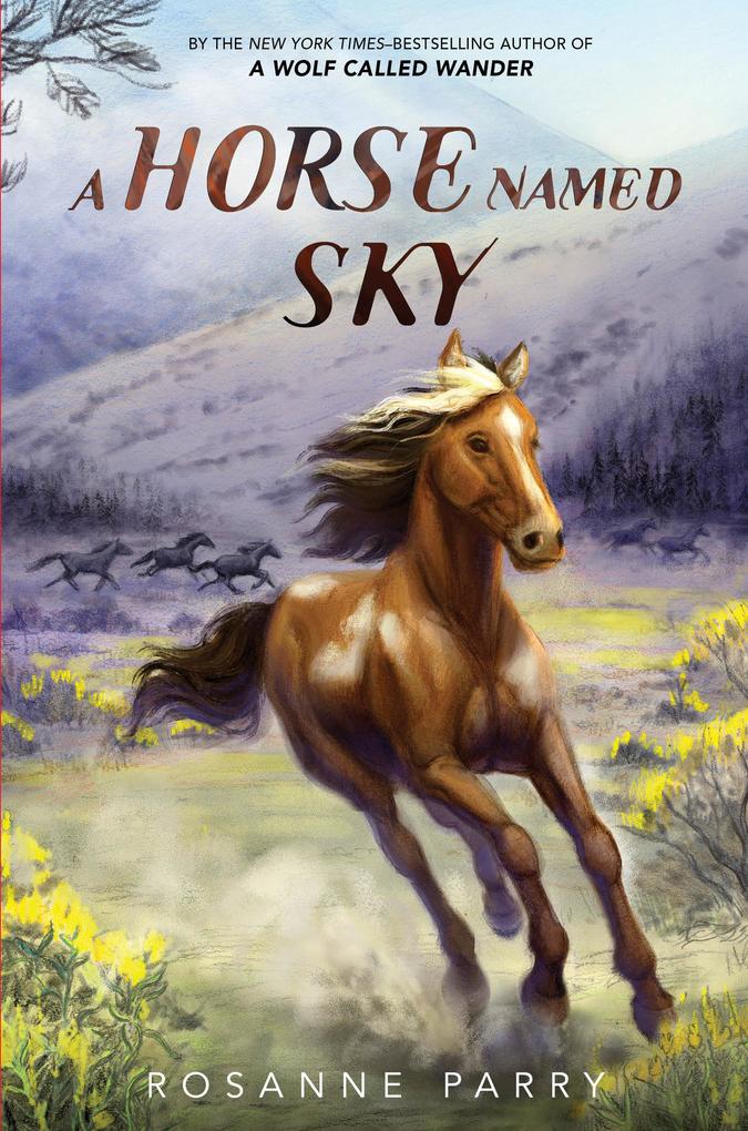 Produktbild: A Horse Named Sky | Rosanne Parry