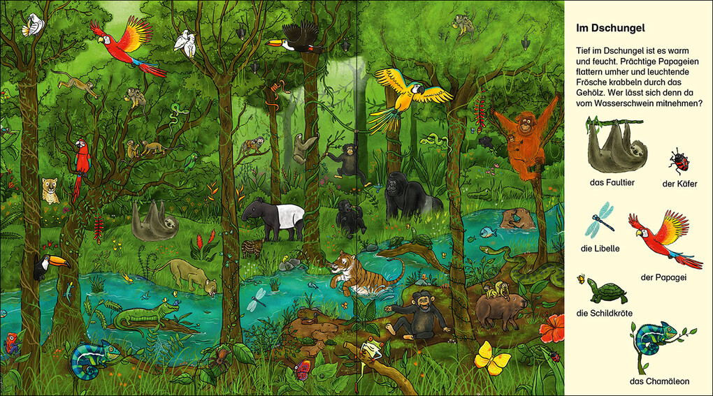 Weitere Ansicht: Suche und finde! - Wilde Tiere