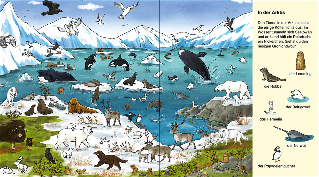 Weitere Ansicht: Suche und finde! - Wilde Tiere
