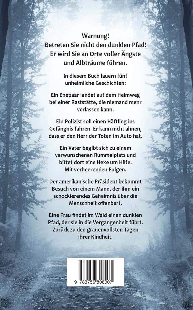 Weitere Ansicht: Der dunkle Pfad | Thomas Paul