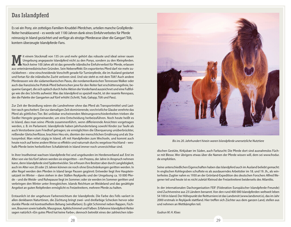 Weitere Ansicht: DUMONT Reise-Handbuch Reiseführer Island | Sabine Barth