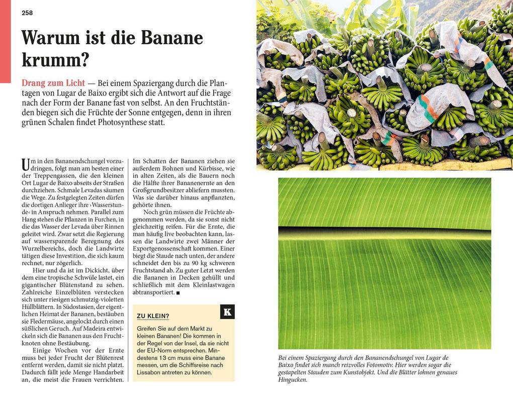 Weitere Ansicht: DUMONT Reise-Taschenbuch Reiseführer Madeira | Susanne Lipps