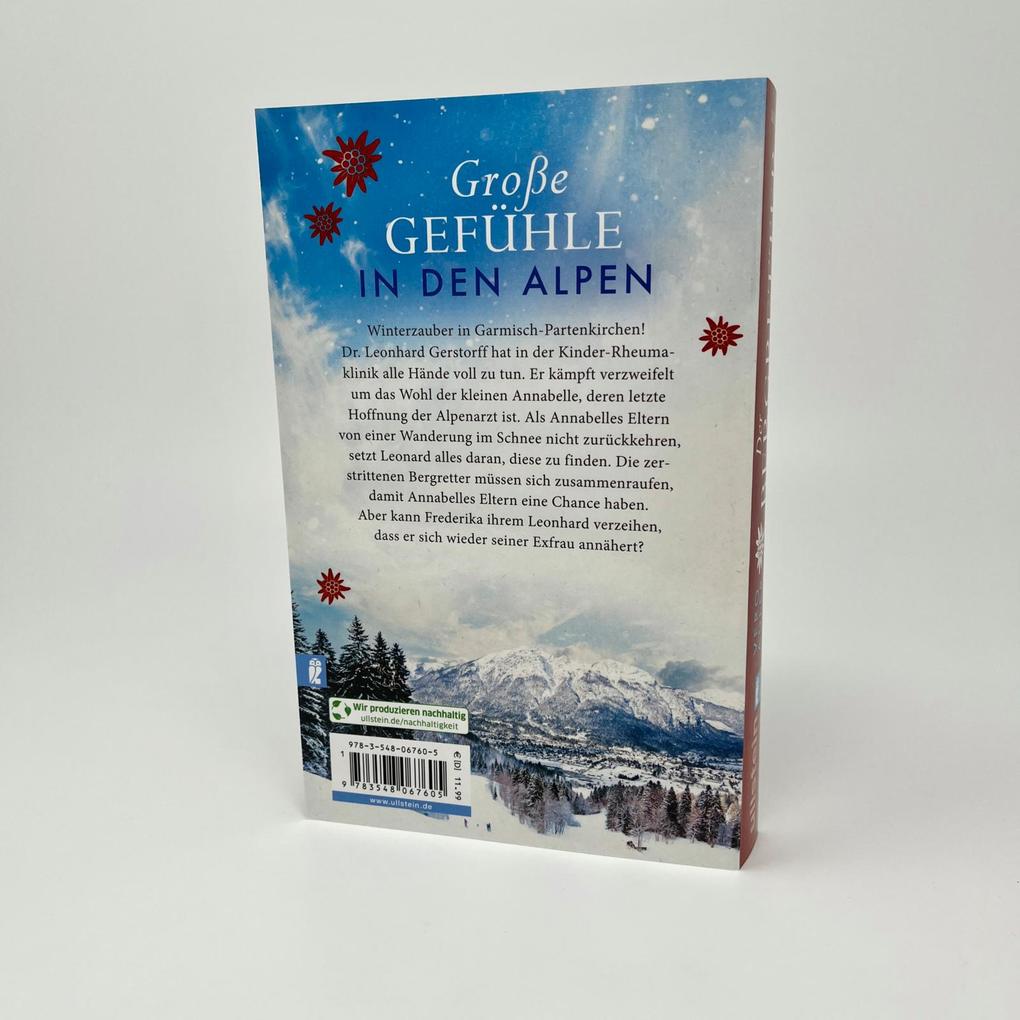 Weitere Ansicht: Der Bergretter | Vero Adler