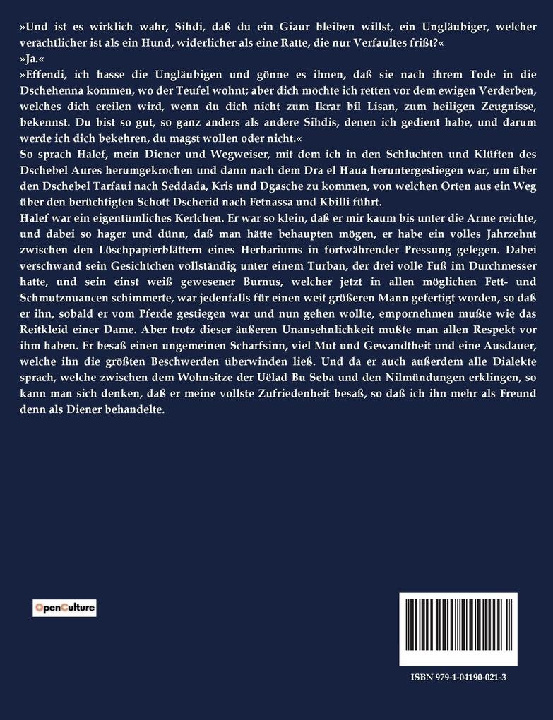 Weitere Ansicht: Durch Wüste und Harem | Karl May