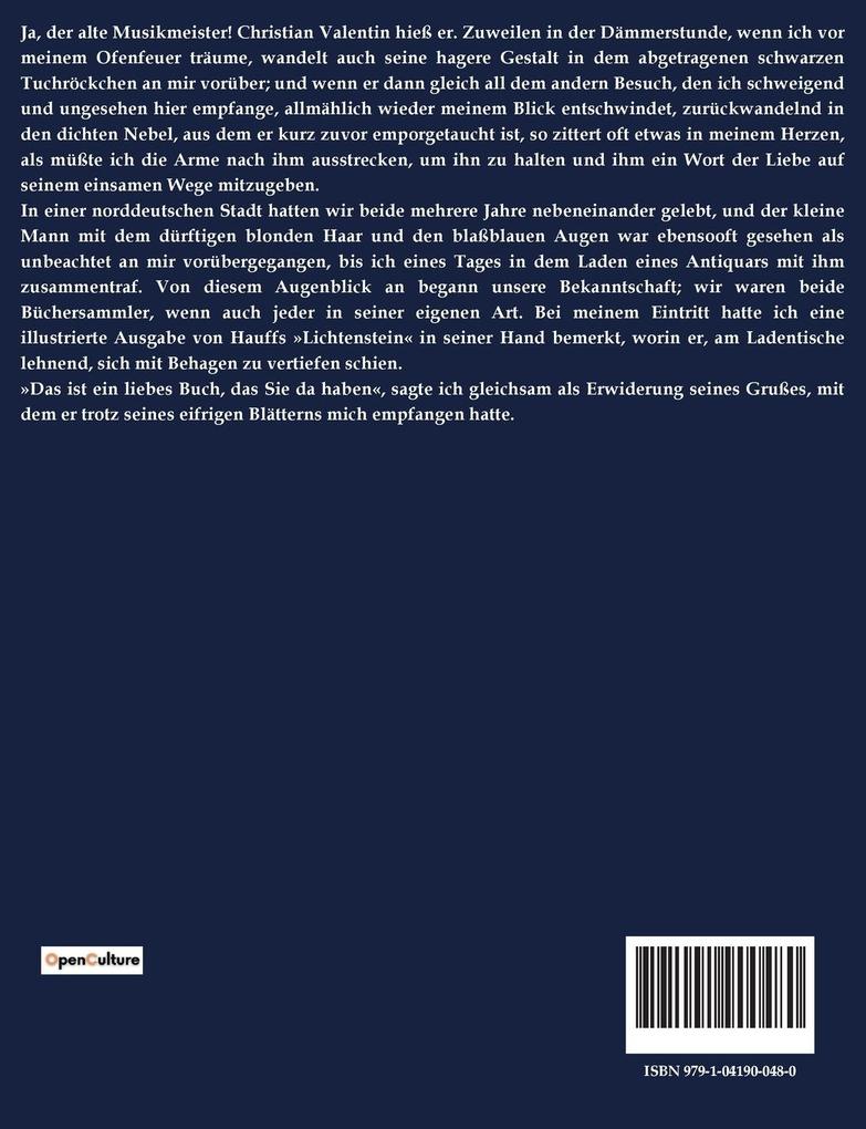Weitere Ansicht: Ein stiller Musikant | Theodor Storm