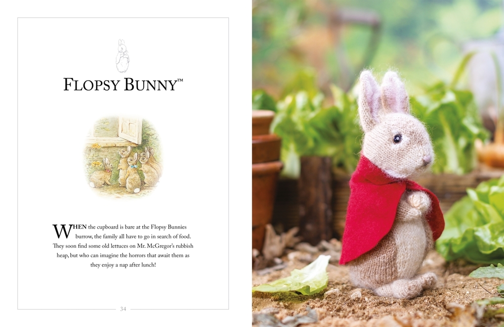 Weitere Ansicht: Knitting Peter Rabbit(tm) | Claire Garland