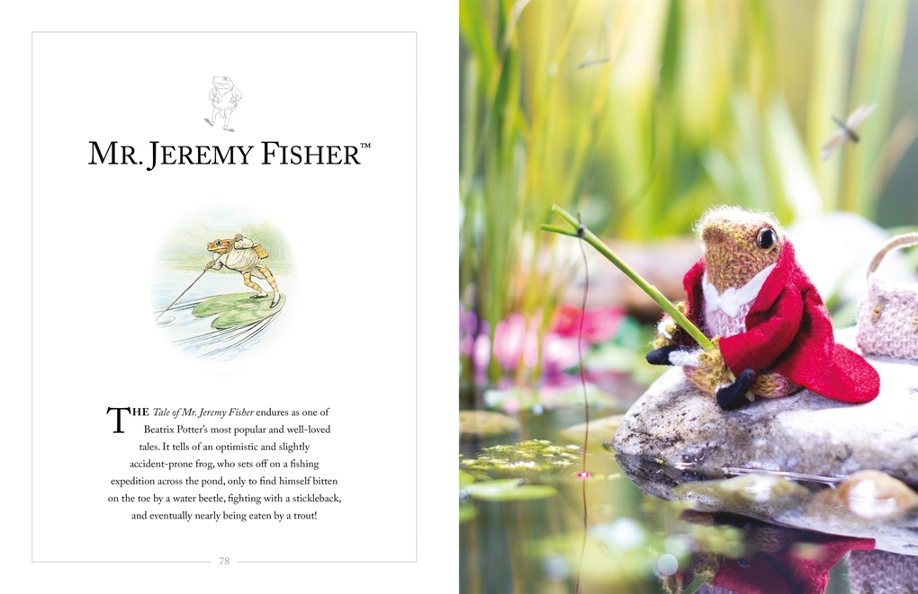 Weitere Ansicht: Knitting Peter Rabbit(tm) | Claire Garland