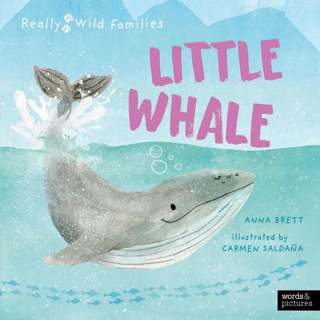 Produktbild: Little Whale | Anna Brett