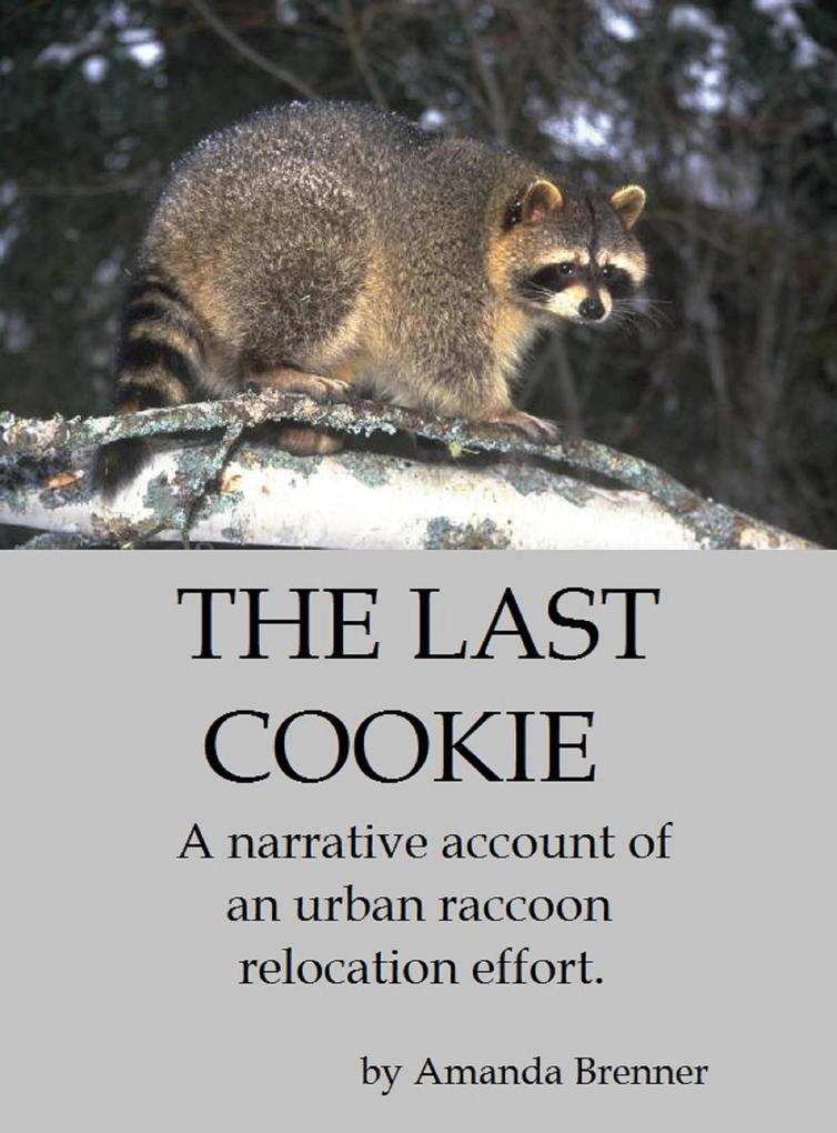 Produktbild: The Last Cookie | Amanda Brenner
