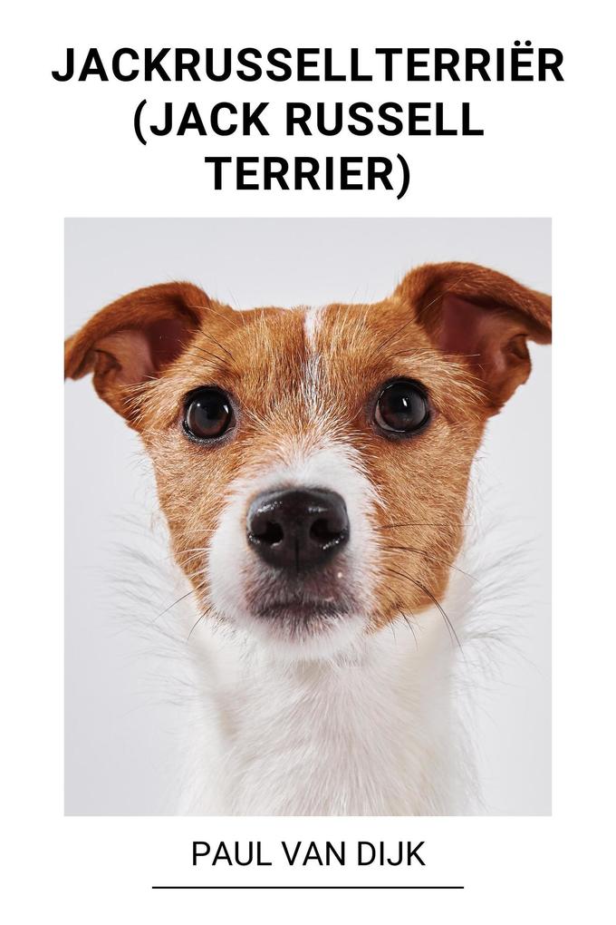 Produktbild: Jackrussellterriër (Jack Russell Terrier) | Paul van Dijk
