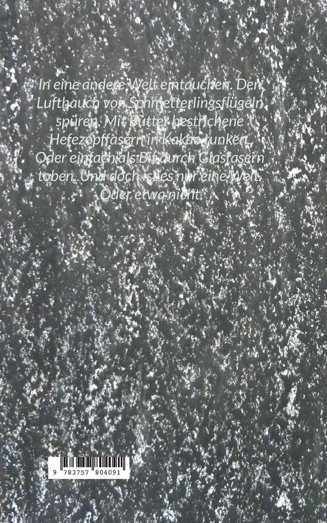 Weitere Ansicht: Nachtschatten | Michael Ockert