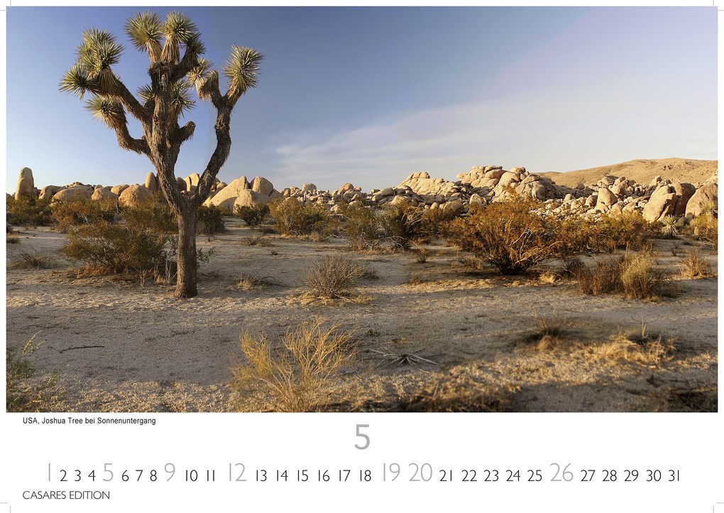 Weitere Ansicht: Panamericana 2024 L 35x50cm